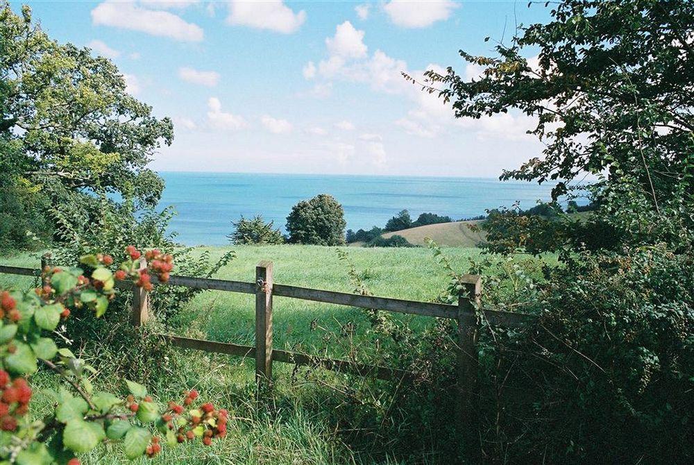 Crossways & Sea View Holiday Apartments トーキー エクステリア 写真